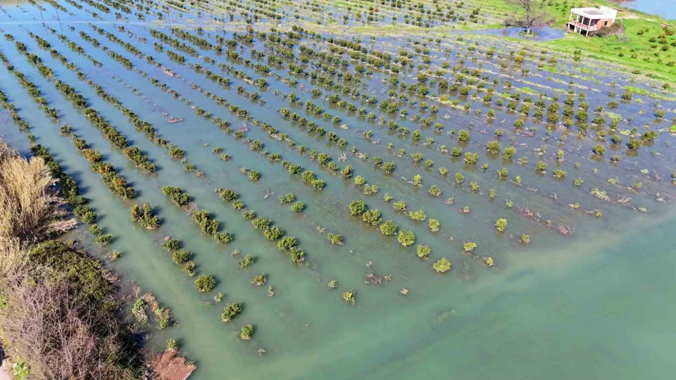 Adana'da sel suları tarım arazilerini sular altında bıraktı