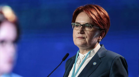 Akener 'devlet krizi' dedi