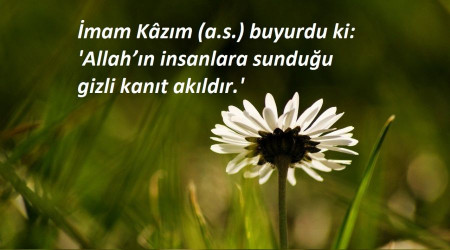 Allahn gizli kant akldr