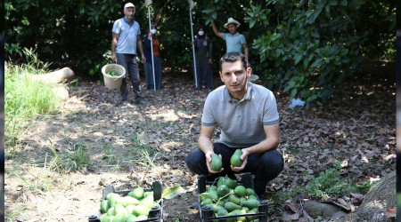Antalya'da çiftçiler silaha sarıldı
