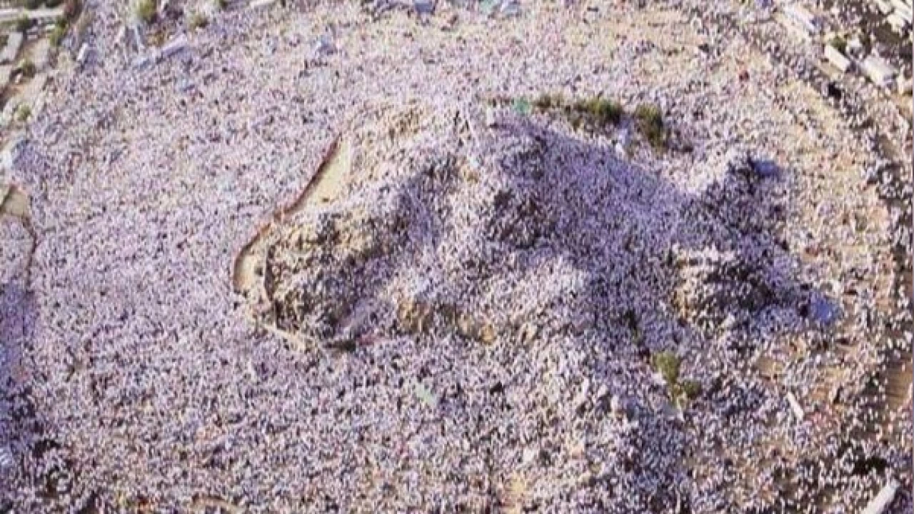 Arafat'ta maher gnnn provas