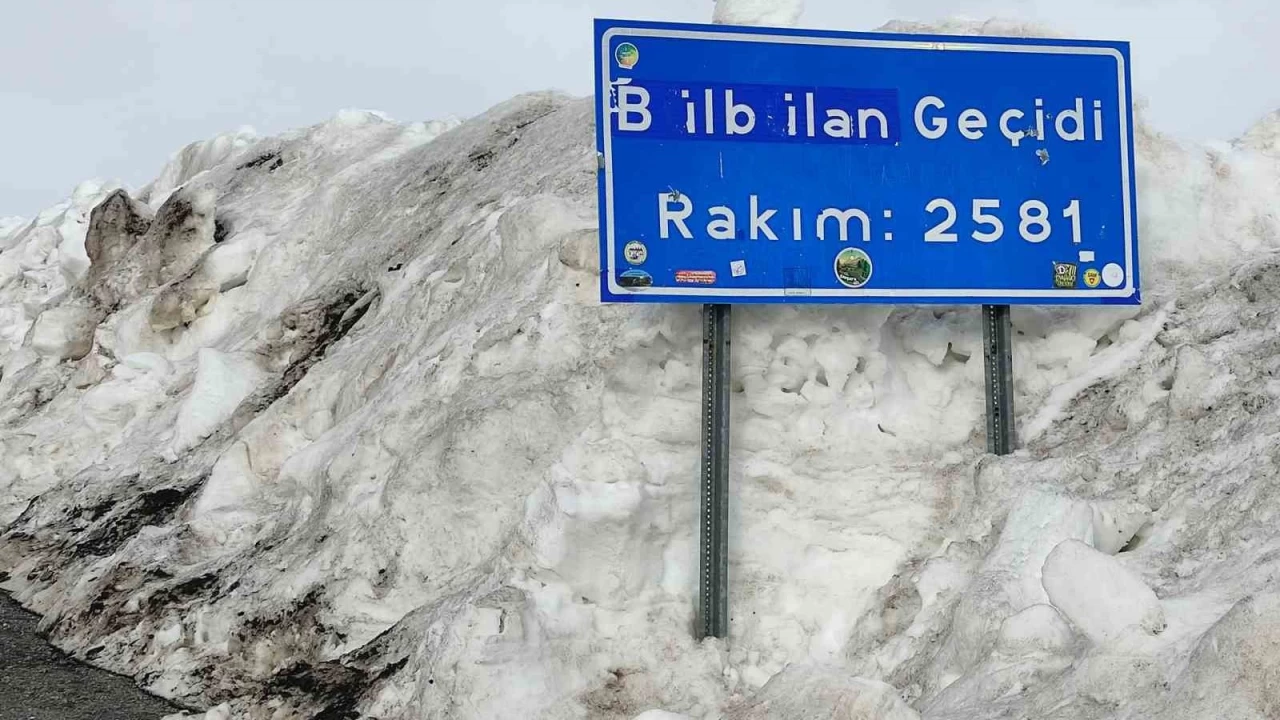Ardahan-Ardanuç yolu 12 ay trafiğe açık kalsın talebi