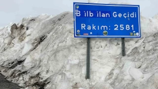 Ardahan-Ardanuç yolu 12 ay trafiğe açık kalsın talebi