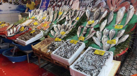 Av sezonu açıldı, tezgahlar balık doldu