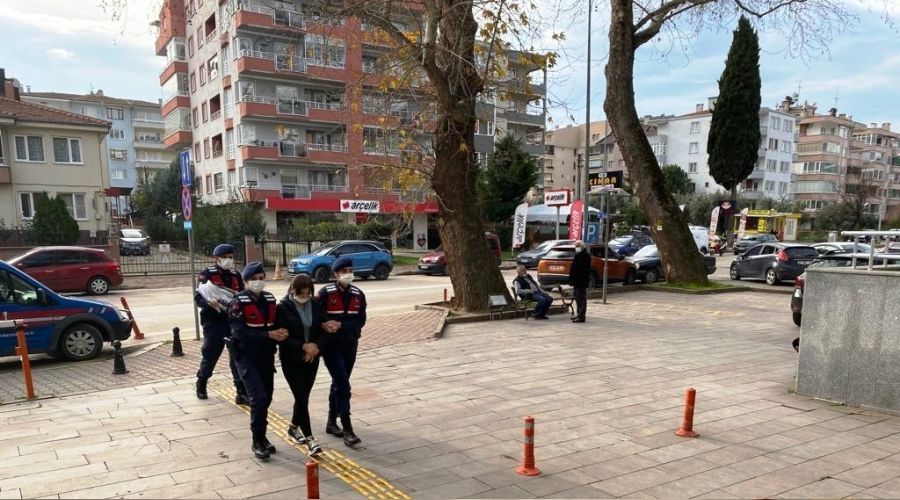 Bakıcılık yaptığı villadan bir milyonluk döviz çaldı