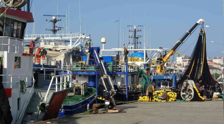 Balıkçı tekneleri hamsi peşinde