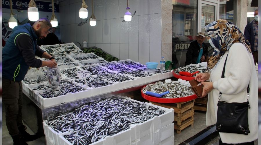 Balıkçılar da maliyetlerden dertli