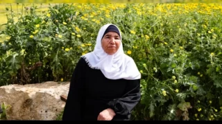 Barbar Yahudiler Filistinlilerin topraklarını çalıyor