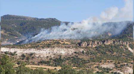 Başkent'te ormanlık alanda yangın