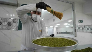 Bayram öncesi Gaziantep'te baklava mesaisi