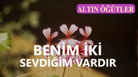 Benim iki sevdiim vardr