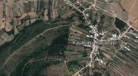Beş adet bahçe ihale usulü ile satılacak