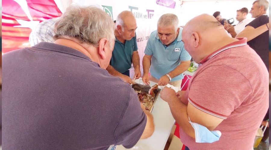 Bir oğlağı 4 dakikada bitirdiler