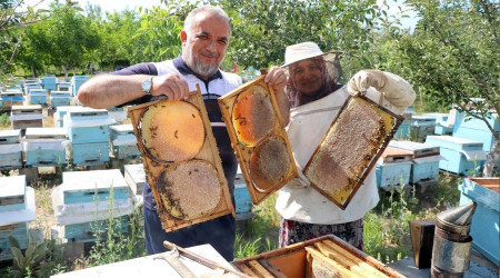 Bozok Yaylasında bal hasadı başladı