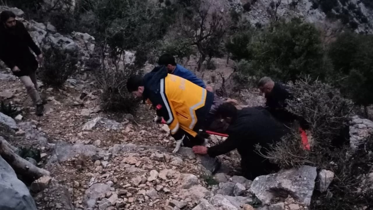 Budamak i�in ��kt��� a�a�ta kalp krizi ge�iren ki�i �ld�