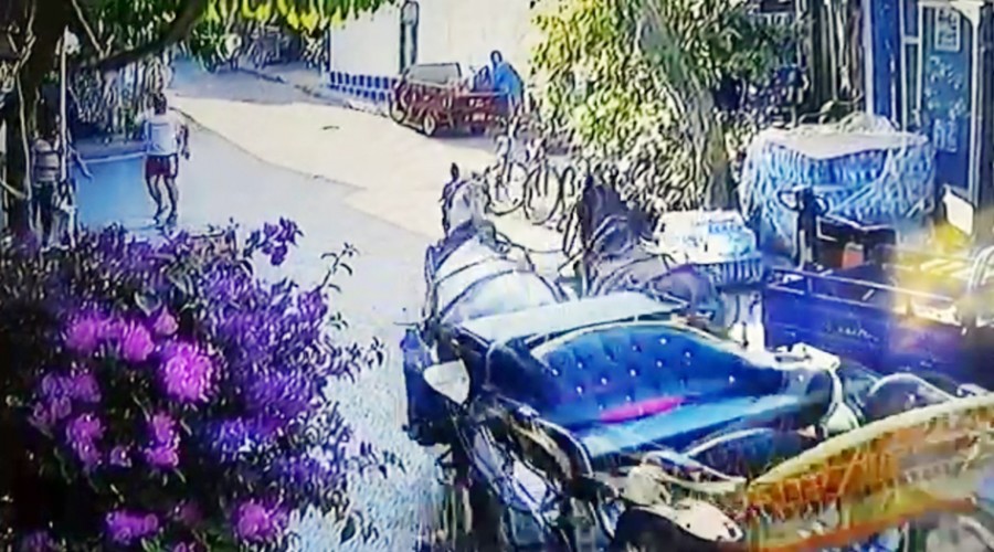 Büyükada’da fayton faciası