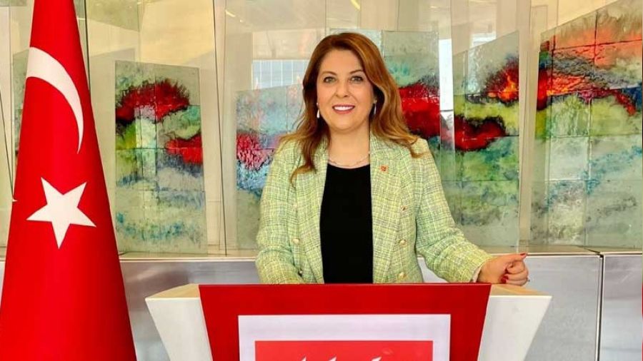 CHP'li Gezmiş: İlaca erişim her geçen gün zorlaşıyor