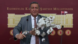 CHP'li G�rer: 'Pamuk �reticisi zor durumda'