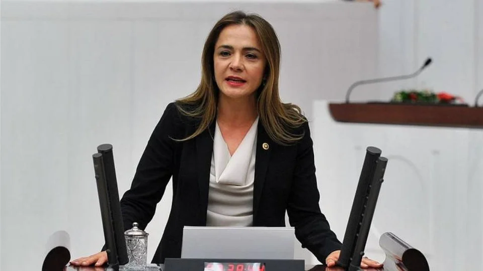 '�ocuklar�n y�zde 88'inin di�i ��r�k'