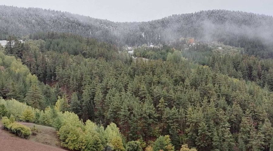 Coreker yaylas�nda lapa lapa kar ya��