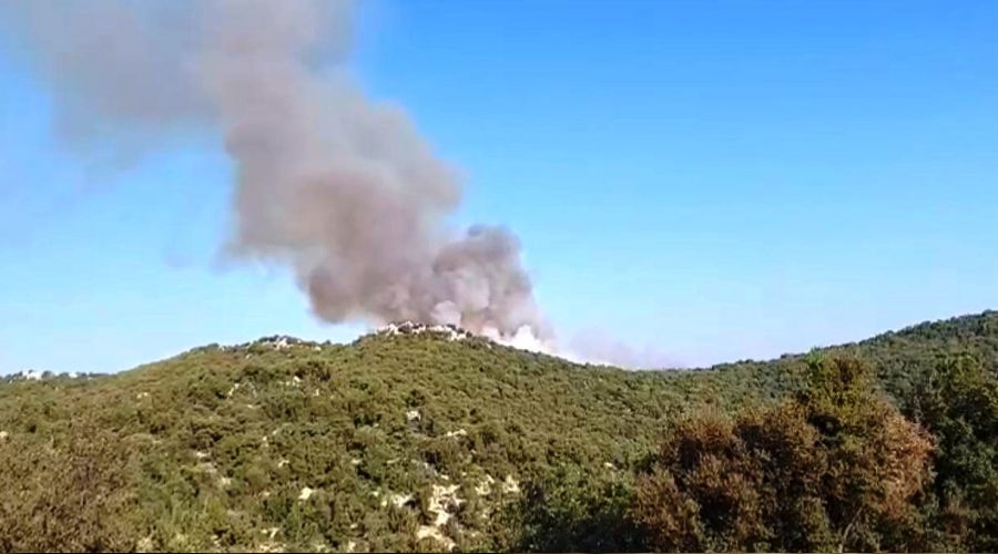 Demre'deki orman yangını söndürüldü