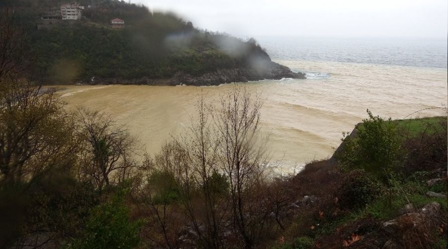 Deniz sarıya boyandı