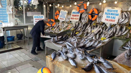 Denizlerde en çok Omega 3'ün bulunduğu palamutta bolluk