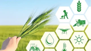 Devlet �retimdeki pozisyonu, arazi ve yer meselesi