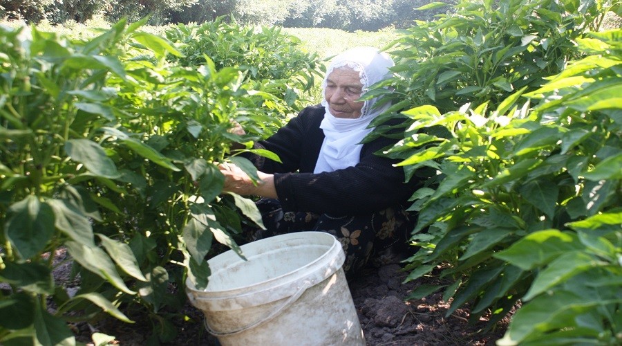 Diyarbak�rl� emektar annelerimizin sesine kulak verelim