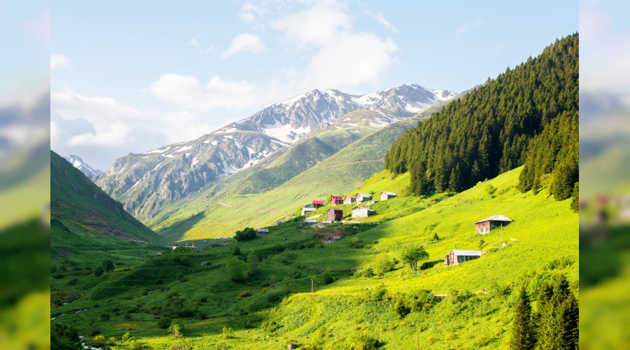 Dou Karadeniz'in envanteri kayt altnda 