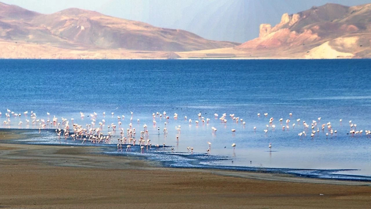 Erçek Gölü: Kuş gözlemcileri için ideal bir sulak alan