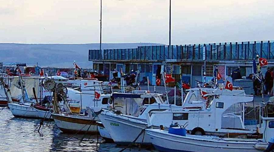 Erdek'te 105 balkya destek paras