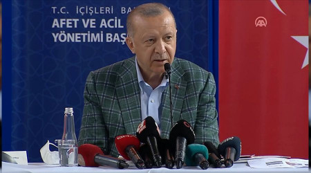 Erdoğan yangın uçağı yokluğundan THK'yı sorumlu tuttu
