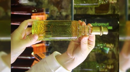 Erken hasat zeytinyağı şifa kaynağı
