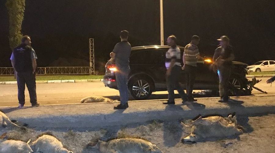 Erzincan'da otomobil s�r�ye dald�: 25 koyun telef oldu