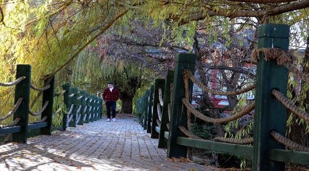 Erzurum her mevsim güzel; sonbaharda başka güzel