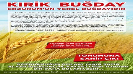 Erzurum'dan gelen "Kırik buğday" çağrısı