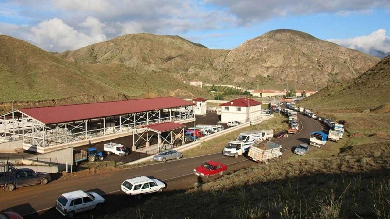 Erzurum'un Oltu il�esinde hayvan pazar� yeniden a��ld�