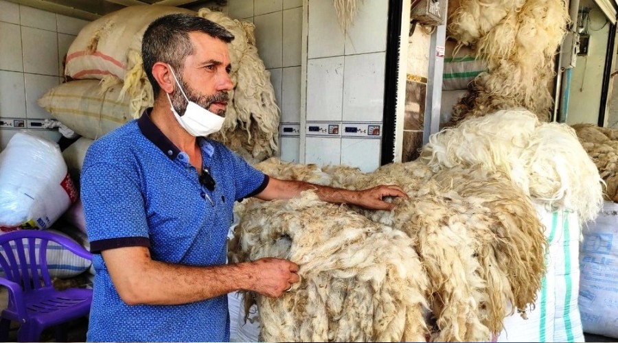 Eskiden fiyatı tereyağı ile yarışan koyun yünleri elde kaldı