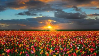 Ey cemaat! F�rsat� ka��rmay�n