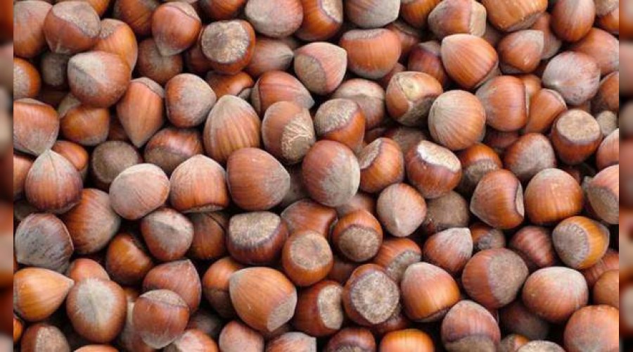 F�nd�k al�m fiyatlar� a��kland�