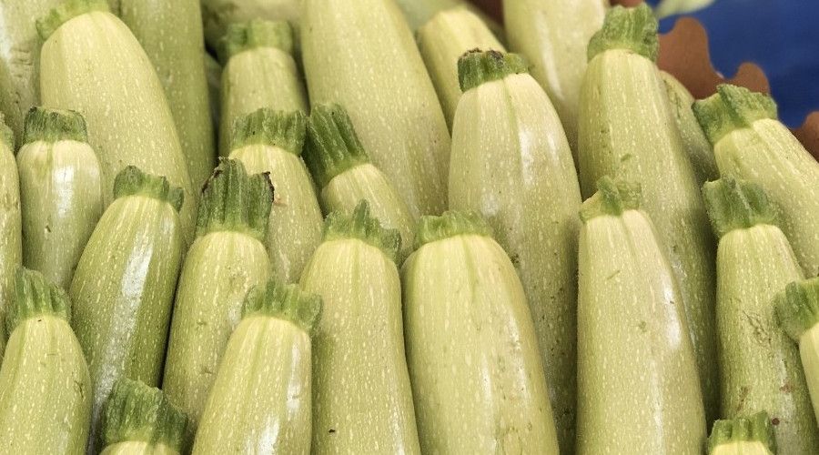 Fiyat� en fazla artan �r�n kabak oldu