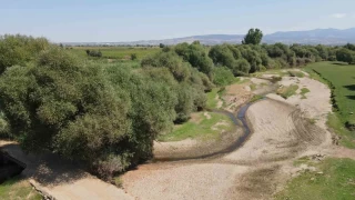 Gediz Nehri'nde alarm