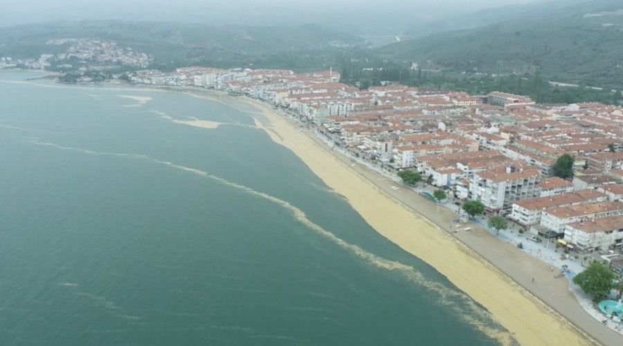 Gemlik Körfezi'ndeki salya istilası havadan görüntülendi