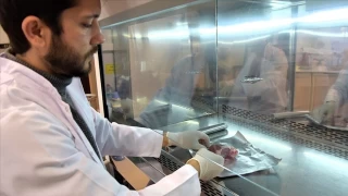 Genetik mühendisliğinin önemi