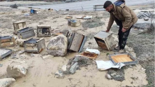 Hakkari'de selde 150 kovan zarar g�rd�