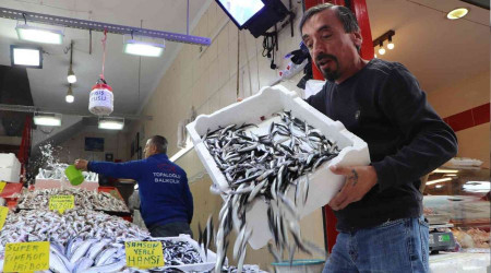 Hamsi 40 TL'den 15 TL'ye dt