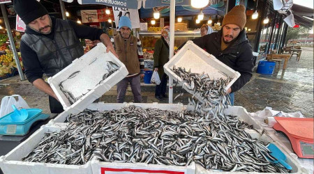 Hamsi tezgahlar enlendirdi