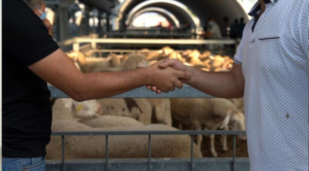 Hayvan pazarında padok kiralama ücretleri belirlendi