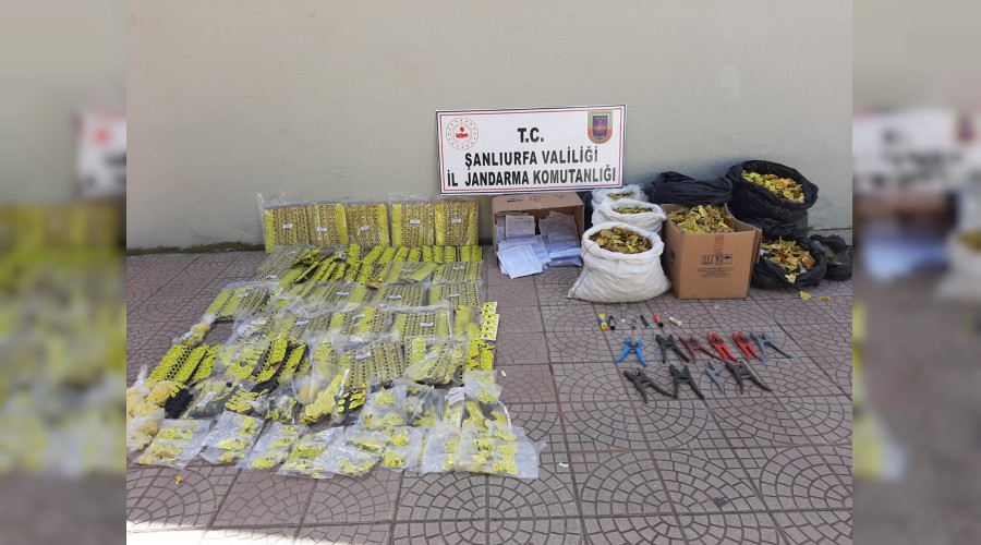 Hayvanlar için sahte kulak küpesi üretenlere operasyon